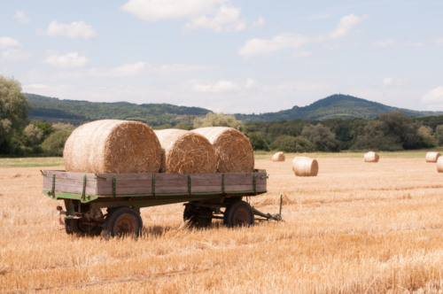 Strohernte Kaiserstuhl 2019