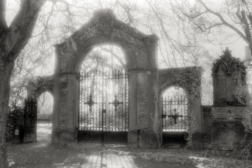 Infrarotaufnahme auf Kodak HIE Hauptfriedhof Freiburg 1995