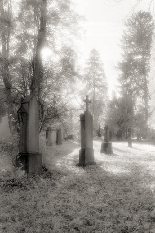 Infrarotaufnahme auf Kodak HIE Alter Friedhof Freiburg 1995